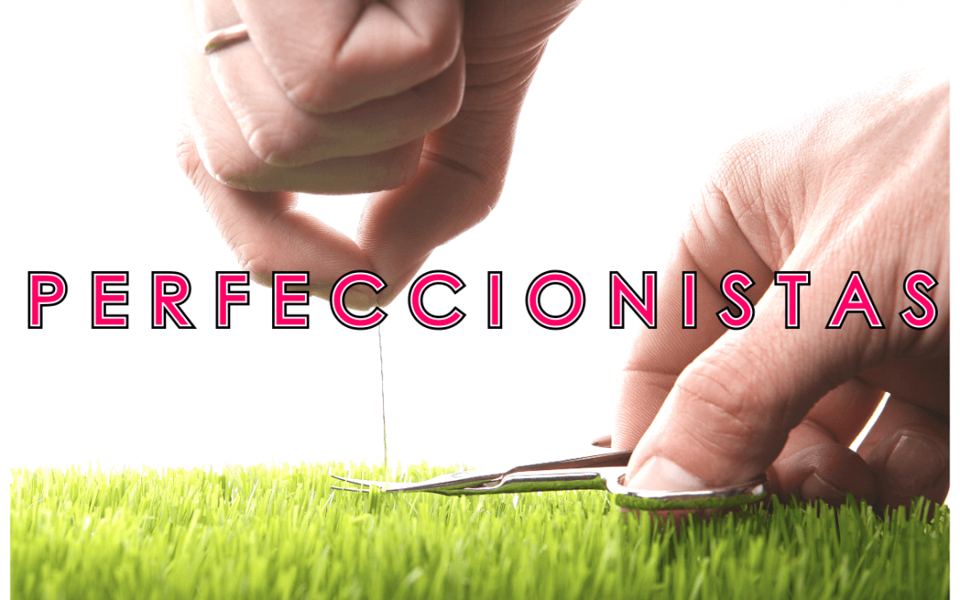 Próximo Programa (30/05/19): «Perfeccionistas»
