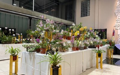 [Eventos] 12° Fiesta Provincial de Orquídeas y Bromelias